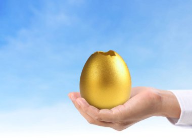  Altın yumurta holding