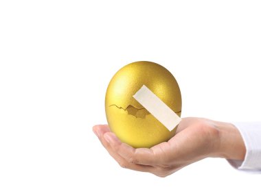  Altın yumurta holding