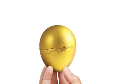  Altın yumurta holding