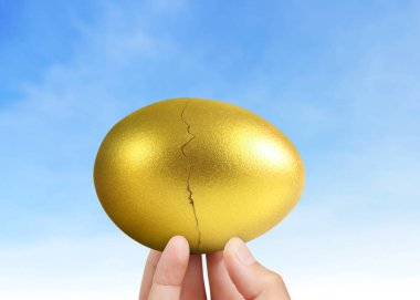 İşadamı Holding altın yumurta