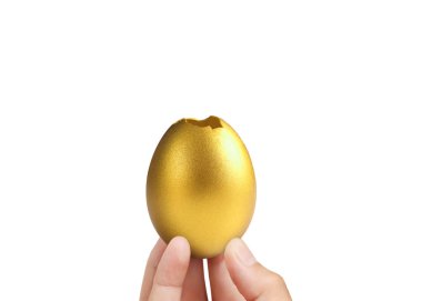  Altın yumurta holding