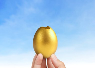 İşadamı Holding altın yumurta