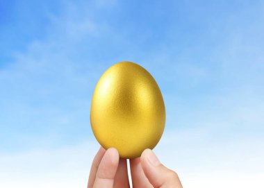 İşadamı Holding altın yumurta