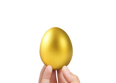  Altın yumurta holding