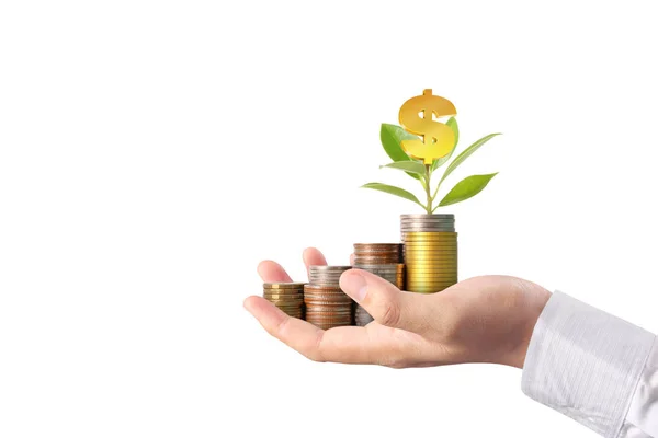 Hand human hand putting coin to money — Stock Photo, Image