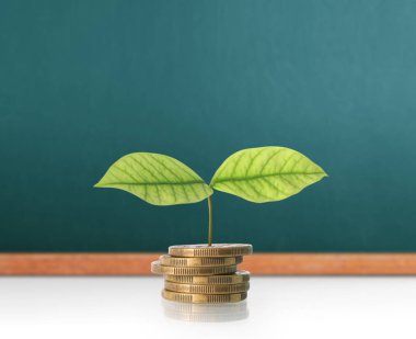  Madeni paralar borsa grafiği