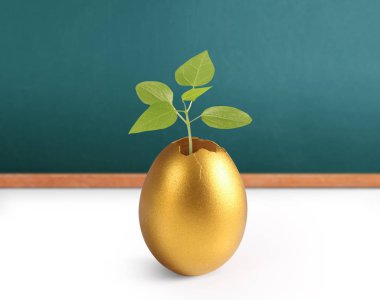 İzole edilmiş bir Paskalya yumurtası