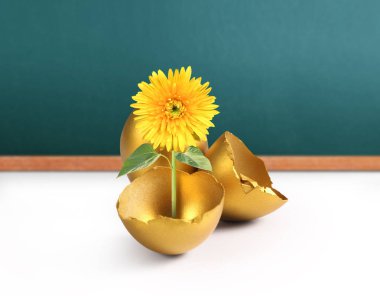 İzole edilmiş bir Paskalya yumurtası