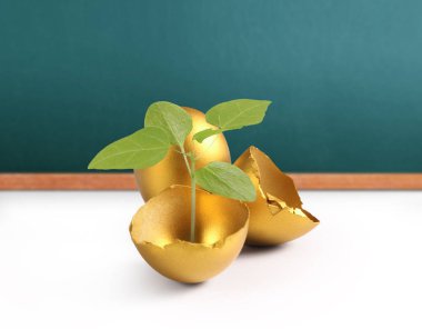 izole altın Paskalya yortusu yumurta