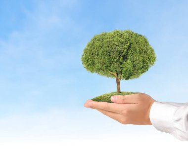 Bitki tutan eller yukarı kapatın