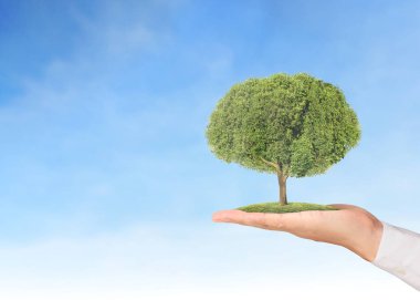 Bitki tutan eller yukarı kapatın