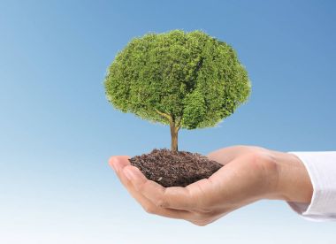 Bitki tutan eller yukarı kapatın