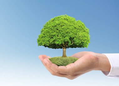 Bitki tutan eller yukarı kapatın