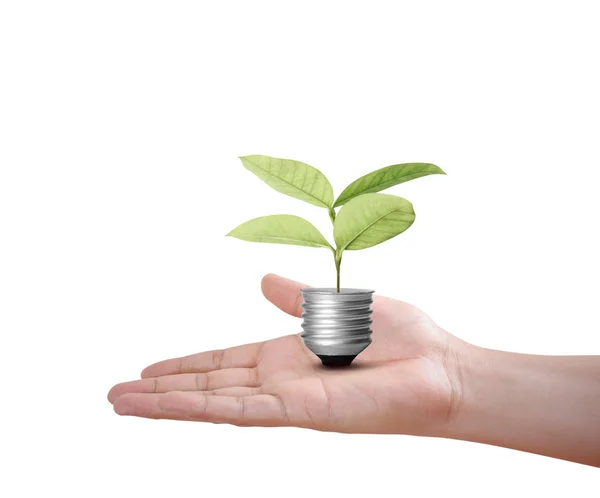 Mano Sosteniendo Una Bombilla Con Energía — Foto de Stock