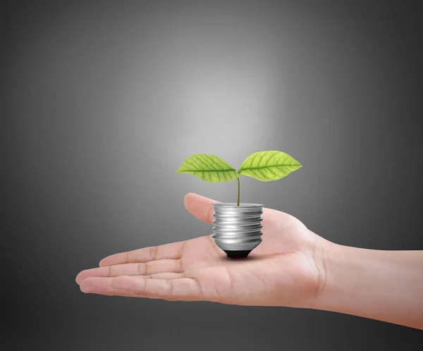 Hand met lampje met energie — Stockfoto