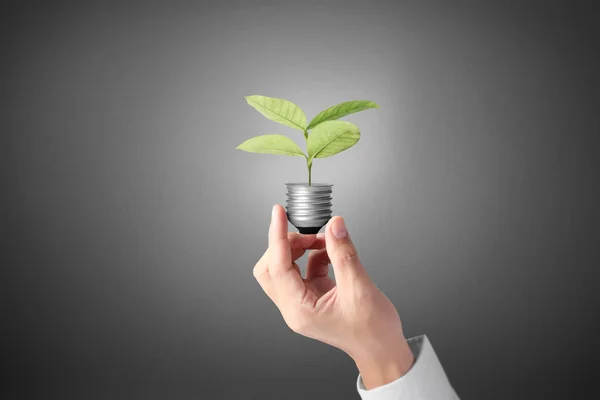 Lampadina a mano con energia — Foto Stock