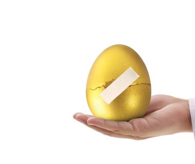  Altın yumurta holding