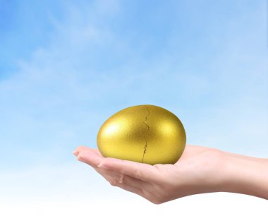  Altın yumurta holding