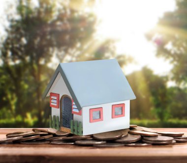 Sikke yığını üzerinde duran küçük ev