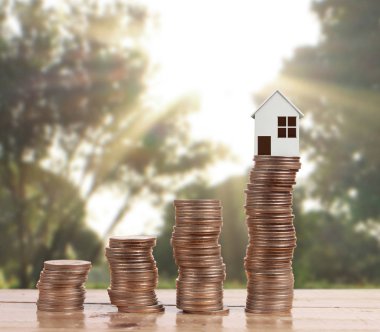 Bozuk para üzerindeki evin modeli.