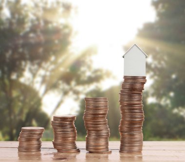 Bozuk para üzerindeki evin modeli.