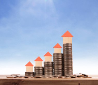 Sikke üzerinde evin model