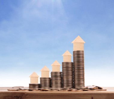 Sikke üzerinde evin model