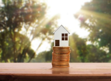 Bozuk para üzerindeki evin modeli.