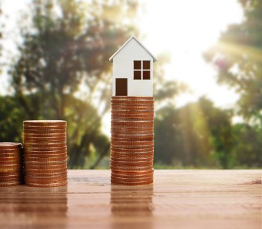 Bozuk para üzerindeki evin modeli.