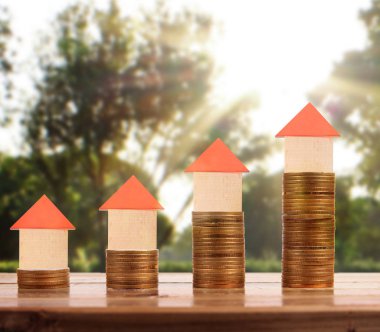 Sikke üzerinde evin model