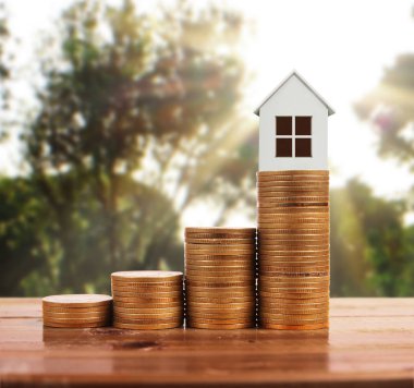 Bozuk para üzerindeki evin modeli.