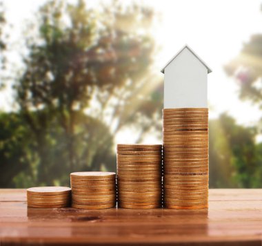 Bozuk para üzerindeki evin modeli.