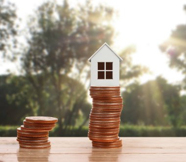 Bozuk para üzerindeki evin modeli.