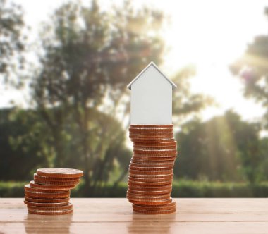 Bozuk para üzerindeki evin modeli.