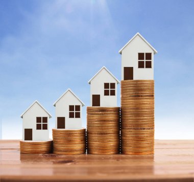 Bozuk para üzerindeki evin modeli.