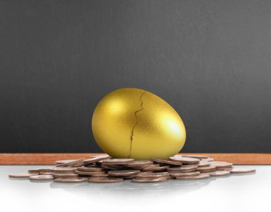 Altın yumurta yatırım kavramı