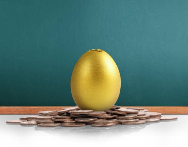 Yatırım hisse senedi altın yumurta konsepti