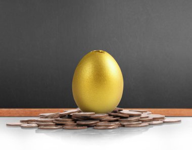 Altın yumurta yatırım kavramı