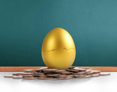 Altın yumurta yatırım kavramı