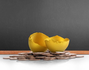 Altın yumurta yatırım kavramı