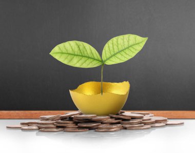 Altın yumurta yatırım kavramı