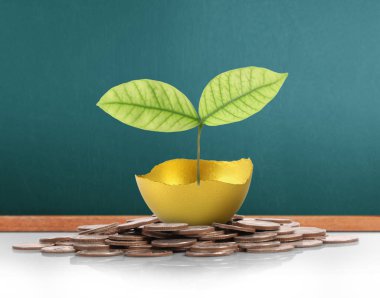 Altın yumurta yatırım kavramı