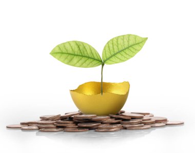 Yatırım hisse senedi altın yumurta konsepti