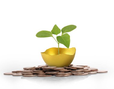 Yatırım hisse senedi altın yumurta konsepti