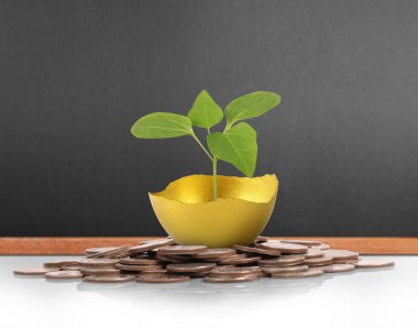 Yatırım hisse senedi altın yumurta konsepti