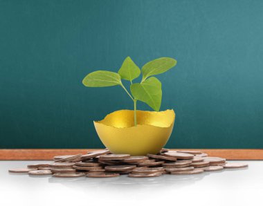 Altın yumurta yatırım kavramı