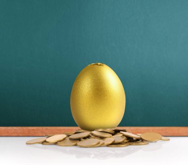 Altın yumurta yatırım kavramı