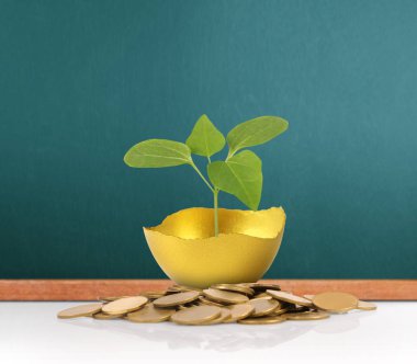 Altın yumurta yatırım kavramı