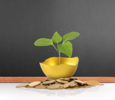 Yatırım hisse senedi altın yumurta konsepti