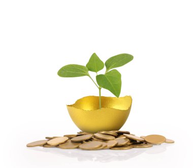 Yatırım hisse senedi altın yumurta konsepti